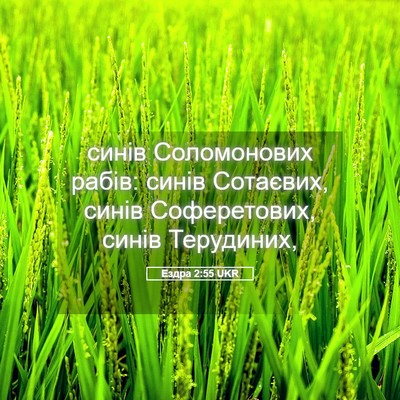 Picture 05 - Ездра 2:55 UKR - синів Соломонових рабів: - Bible Verse Picture