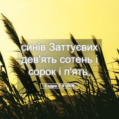 Picture 05 - Ездра 2:8 UKR - синів Заттуєвих дев'ять - Bible Verse Picture