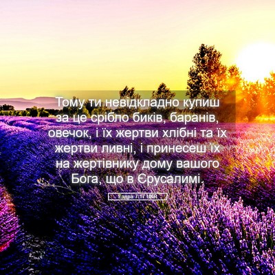 Picture 05 - Ездра 7:17 UKR - Тому ти невідкладно купиш - Bible Verse Picture