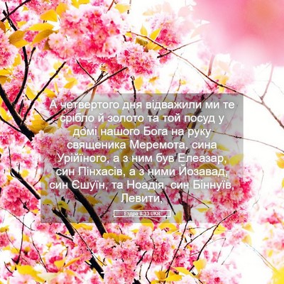 Picture 05 - Ездра 8:33 UKR - А четвертого дня відважили - Bible Verse Picture