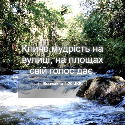 Picture 05 - Екклезіяст 1:20 UKR - Кличе мудрість на вулиці, - Bible Verse Picture