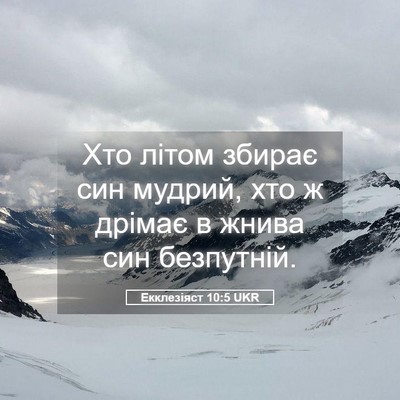Picture 05 - Екклезіяст 10:5 UKR - Хто літом збирає син - Bible Verse Picture