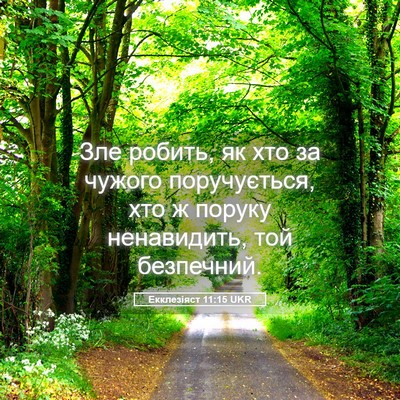 Picture 05 - Екклезіяст 11:15 UKR - Зле робить, як хто за - Bible Verse Picture