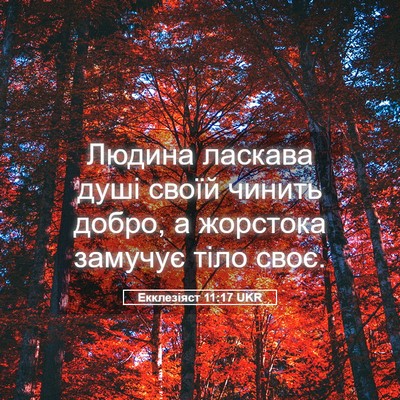 Picture 05 - Екклезіяст 11:17 UKR - Людина ласкава душі своїй - Bible Verse Picture