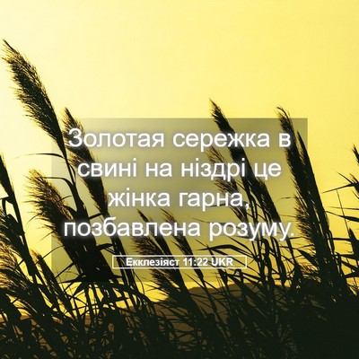 Picture 05 - Екклезіяст 11:22 UKR - Золотая сережка в свині на - Bible Verse Picture