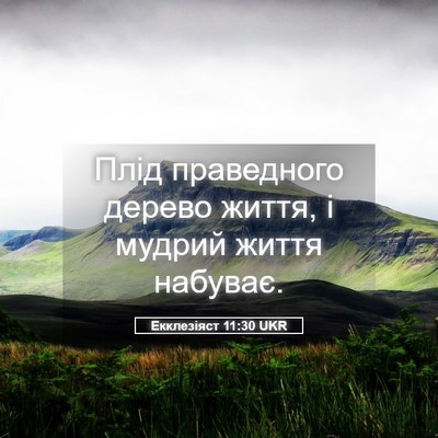 Picture 05 - Екклезіяст 11:30 UKR - Плід праведного дерево - Bible Verse Picture