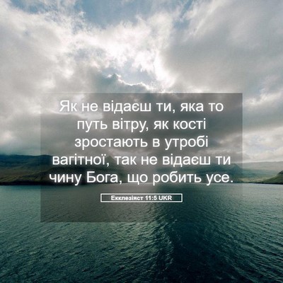 Picture 05 - Екклезіяст 11:5 UKR - Як не відаєш ти, яка то путь - Bible Verse Picture