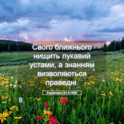 Picture 05 - Екклезіяст 11:9 UKR - Свого ближнього нищить - Bible Verse Picture