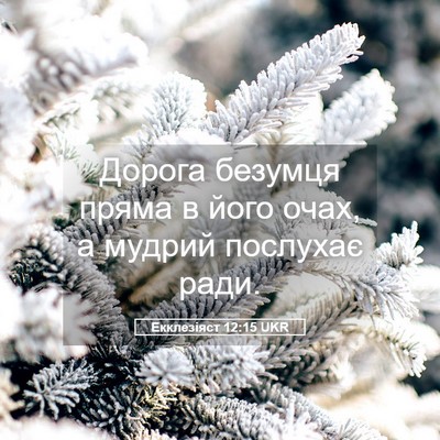 Picture 05 - Екклезіяст 12:15 UKR - Дорога безумця пряма в - Bible Verse Picture