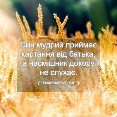 Picture 05 - Екклезіяст 13:1 UKR - Син мудрий приймає - Bible Verse Picture