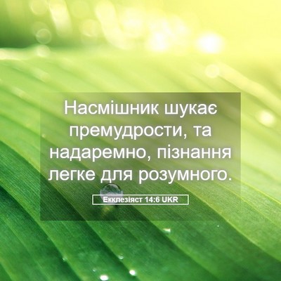 Picture 05 - Екклезіяст 14:6 UKR - Насмішник шукає - Bible Verse Picture
