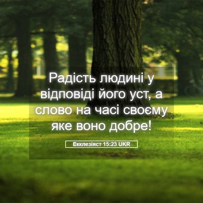 Picture 05 - Екклезіяст 15:23 UKR - Радість людині у відповіді - Bible Verse Picture