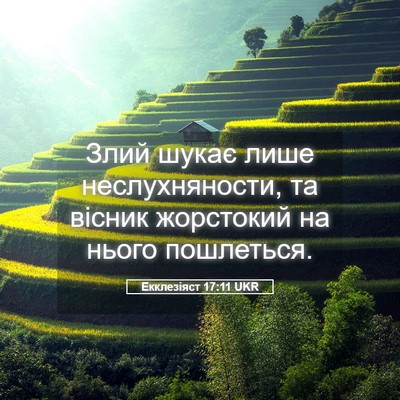 Picture 05 - Екклезіяст 17:11 UKR - Злий шукає лише - Bible Verse Picture