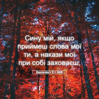 Picture 05 - Екклезіяст 2:1 UKR - Сину мій, якщо приймеш - Bible Verse Picture