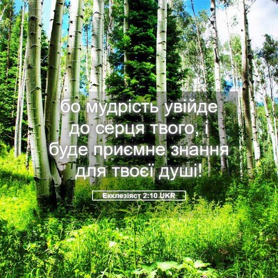 Picture 05 - Екклезіяст 2:10 UKR - бо мудрість увійде до - Bible Verse Picture
