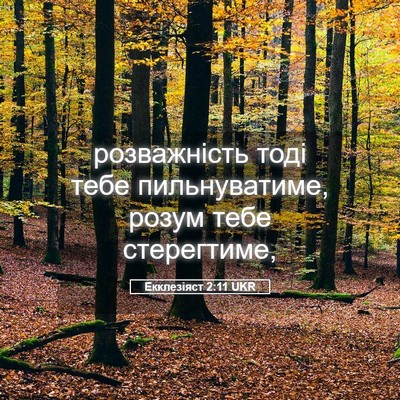 Picture 05 - Екклезіяст 2:11 UKR - розважність тоді тебе - Bible Verse Picture