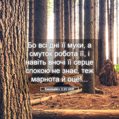 Picture 05 - Екклезіяст 2:23 UKR - Бо всі дні її муки, а смуток - Bible Verse Picture