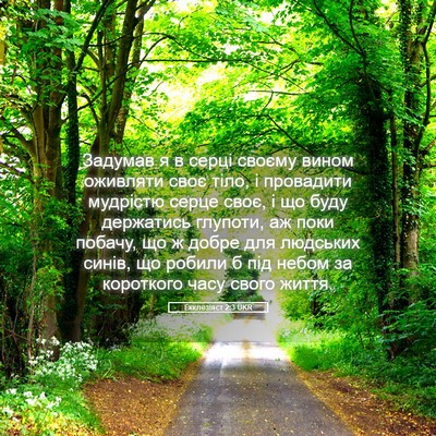 Picture 05 - Екклезіяст 2:3 UKR - Задумав я в серці своєму - Bible Verse Picture