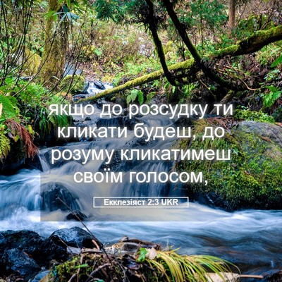 Picture 05 - Екклезіяст 2:3 UKR - якщо до розсудку ти - Bible Verse Picture