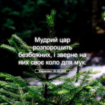 Picture 05 - Екклезіяст 20:26 UKR - Мудрий цар розпорошить - Bible Verse Picture