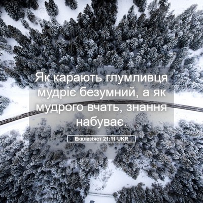 Picture 05 - Екклезіяст 21:11 UKR - Як карають глумливця - Bible Verse Picture