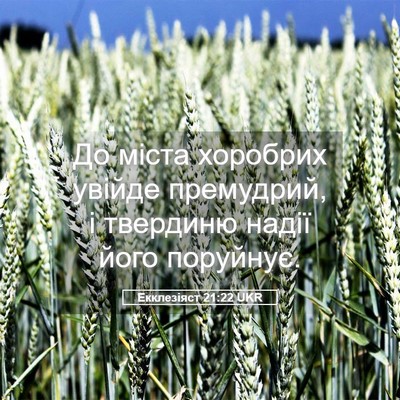 Picture 05 - Екклезіяст 21:22 UKR - До міста хоробрих увійде - Bible Verse Picture