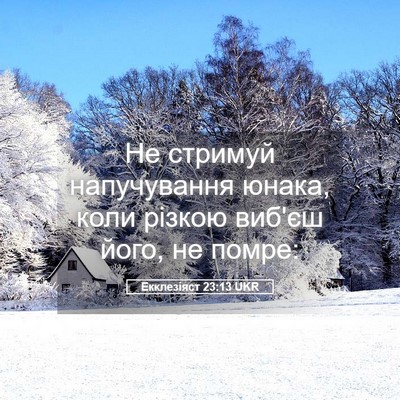 Picture 05 - Екклезіяст 23:13 UKR - Не стримуй напучування - Bible Verse Picture