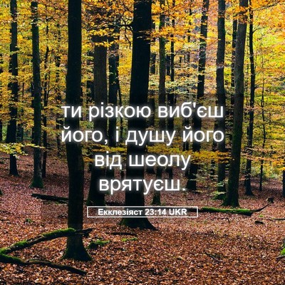 Picture 05 - Екклезіяст 23:14 UKR - ти різкою виб'єш його, і - Bible Verse Picture