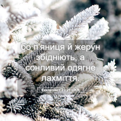 Picture 05 - Екклезіяст 23:21 UKR - бо п'яниця й жерун - Bible Verse Picture