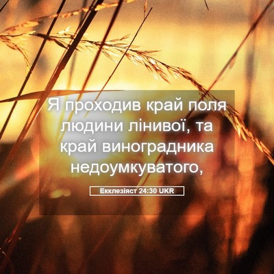 Picture 05 - Екклезіяст 24:30 UKR - Я проходив край поля - Bible Verse Picture