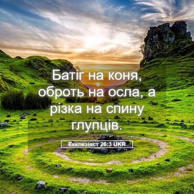 Picture 05 - Екклезіяст 26:3 UKR - Батіг на коня, оброть на - Bible Verse Picture