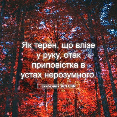 Picture 05 - Екклезіяст 26:9 UKR - Як терен, що влізе у руку, - Bible Verse Picture