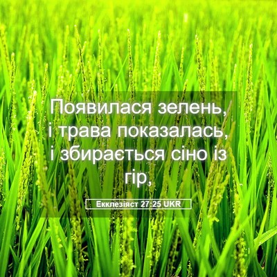 Picture 05 - Екклезіяст 27:25 UKR - Появилася зелень, і трава - Bible Verse Picture