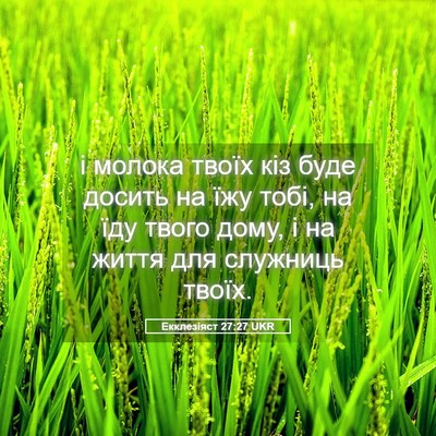 Picture 05 - Екклезіяст 27:27 UKR - і молока твоїх кіз буде - Bible Verse Picture