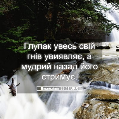 Picture 05 - Екклезіяст 29:11 UKR - Глупак увесь свій гнів - Bible Verse Picture