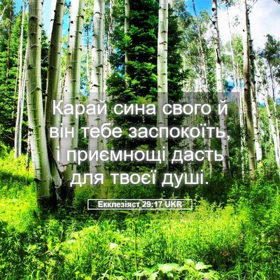 Picture 05 - Екклезіяст 29:17 UKR - Карай сина свого й він тебе - Bible Verse Picture