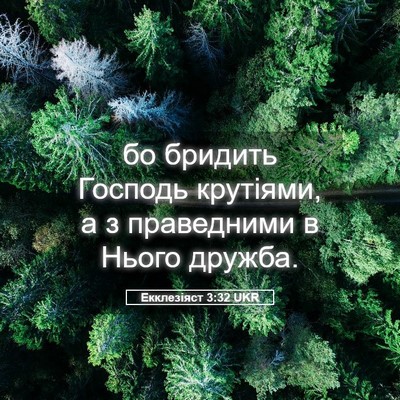 Picture 05 - Екклезіяст 3:32 UKR - бо бридить Господь - Bible Verse Picture