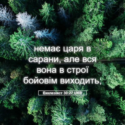 Picture 05 - Екклезіяст 30:27 UKR - немає царя в сарани, але - Bible Verse Picture