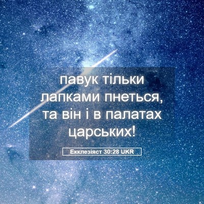 Picture 05 - Екклезіяст 30:28 UKR - павук тільки лапками - Bible Verse Picture