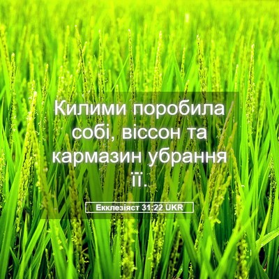 Picture 05 - Екклезіяст 31:22 UKR - Килими поробила собі, - Bible Verse Picture