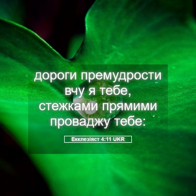 Picture 05 - Екклезіяст 4:11 UKR - дороги премудрости вчу я - Bible Verse Picture