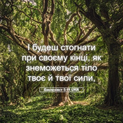 Picture 05 - Екклезіяст 5:11 UKR - І будеш стогнати при - Bible Verse Picture