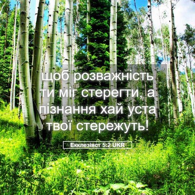 Picture 05 - Екклезіяст 5:2 UKR - щоб розважність ти міг - Bible Verse Picture