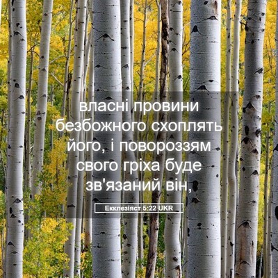 Picture 05 - Екклезіяст 5:22 UKR - власні провини безбожного - Bible Verse Picture