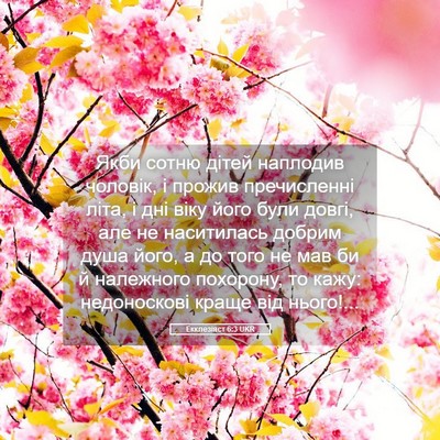 Picture 05 - Екклезіяст 6:3 UKR - Якби сотню дітей наплодив - Bible Verse Picture