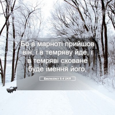 Picture 05 - Екклезіяст 6:4 UKR - Бо в марноті прийшов він, і - Bible Verse Picture