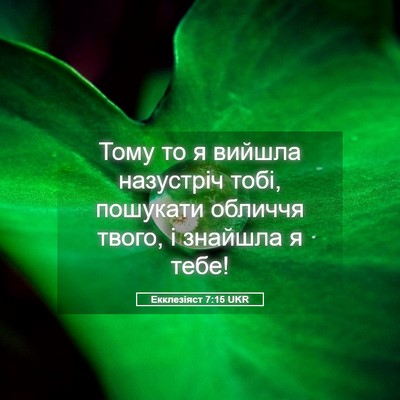 Picture 05 - Екклезіяст 7:15 UKR - Тому то я вийшла назустріч - Bible Verse Picture