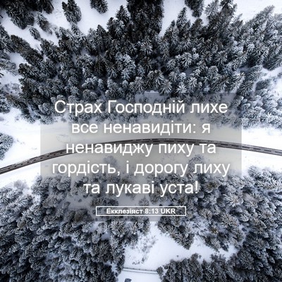 Picture 05 - Екклезіяст 8:13 UKR - Страх Господній лихе все - Bible Verse Picture