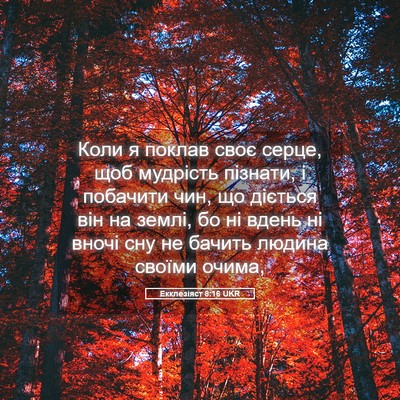 Picture 05 - Екклезіяст 8:16 UKR - Коли я поклав своє серце, - Bible Verse Picture