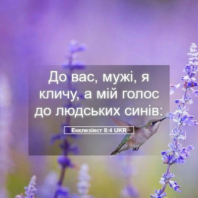 Picture 05 - Екклезіяст 8:4 UKR - До вас, мужі, я кличу, а мій - Bible Verse Picture
